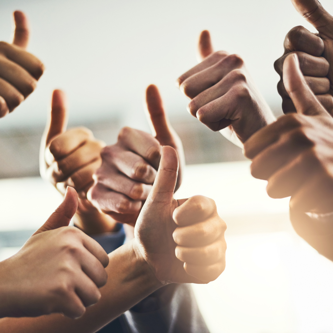 imagenes sitio web (5)